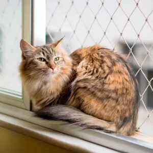 Redes de Proteção Para Cães e Gatos em Curitiba