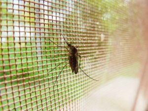 Tela de proteção contra mosquitos representam mais higiene e segurança