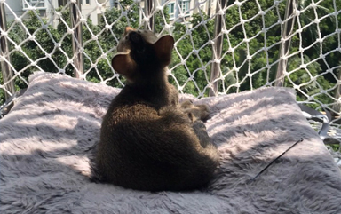 JF REDES DE PROTEÇÃO, REDES DE PROTEÇÃO PARA ANIMAIS