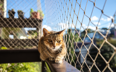 Redes de Proteção para Animais: Proteja Seus Pets!