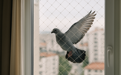 Redes de Proteção: Reduza a Entrada de Pombos e Outras Aves