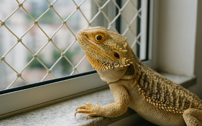 Redes de Proteção para Animais Exóticos: Como Adaptar a Casa
